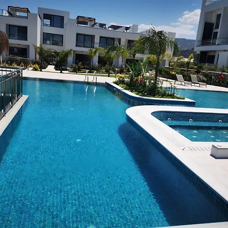 The Olive Beachfront &