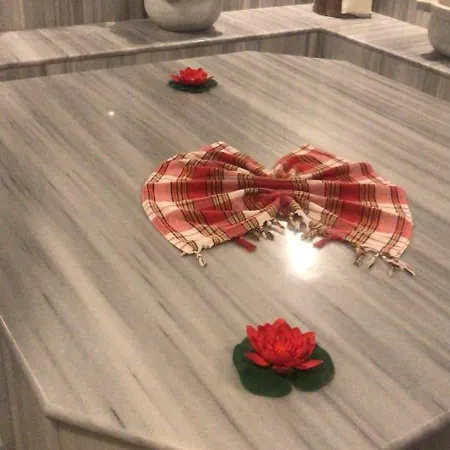 The Olive Beachfront & شقة Kalogrea