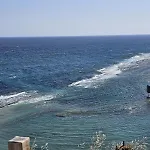 The Olive Beachfront & *