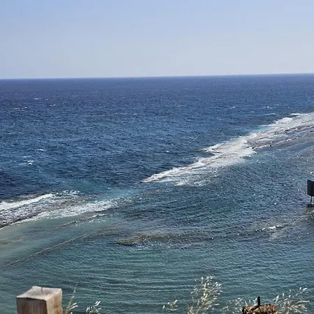 The Olive Beachfront & *