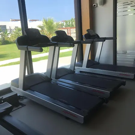 Apartment The Olive Beachfront & Kalogrea