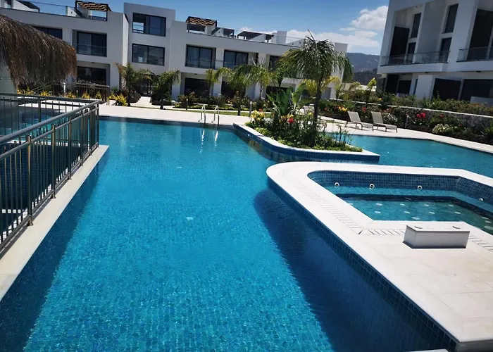 The Olive Beachfront &