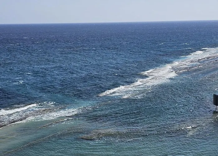 The Olive Beachfront & *